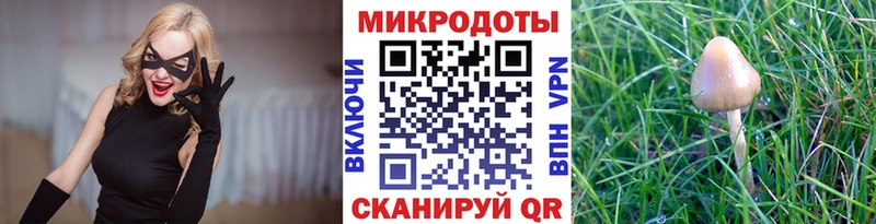 Галлюциногенные грибы Psilocybine cubensis  Артёмовск 