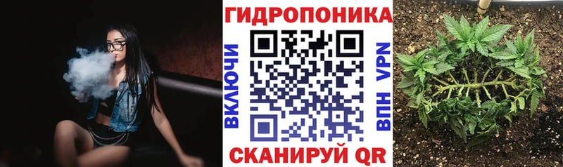 Каннабис OG Kush  Артёмовск 